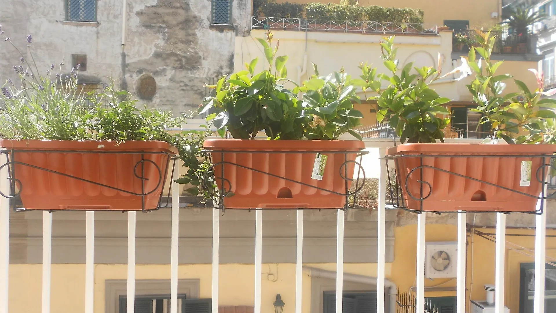 Signorisinasce Hotel Naples